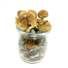 Buy Hawaiian Blue Meanie Magic Mushrooms